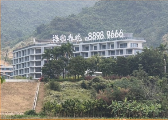 海棠春晓楼顶发光字