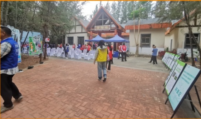 中免植树节工艺活动