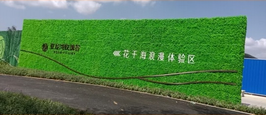 亚龙湾玫瑰谷绿植围挡